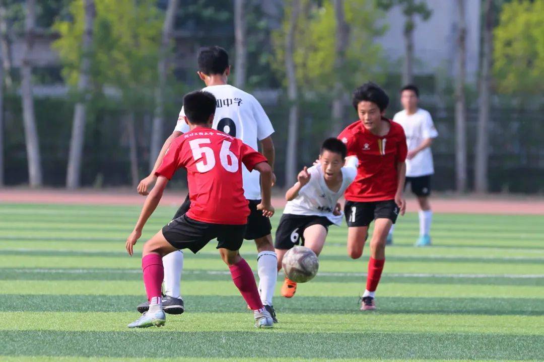 提供了无数